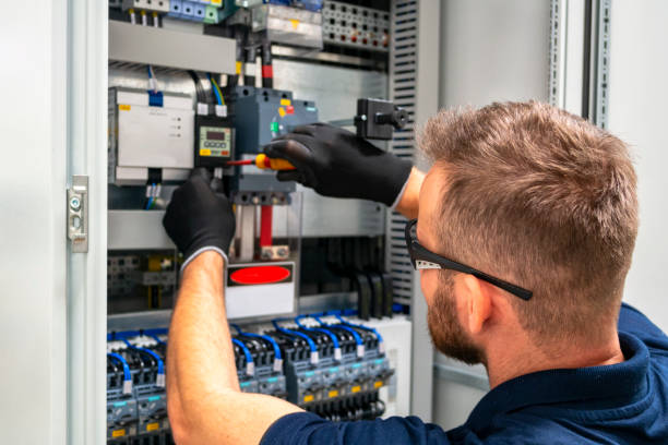Best Electric Panel Repair  in Onarga, IL